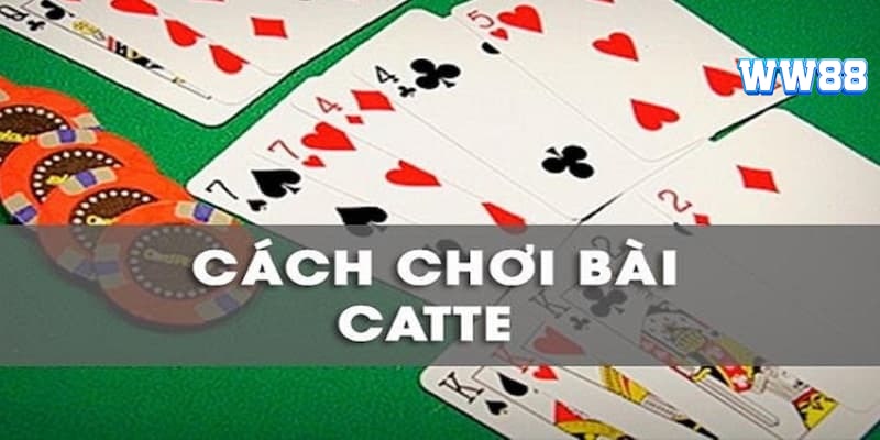 Chi tiết luật đánh bài Catte trực tuyến cho tân thủ