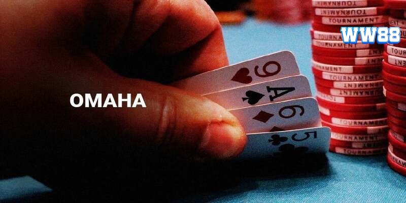 Vì sao nhiều người lựa chọn tham gia Omaha Poker tại WW88?